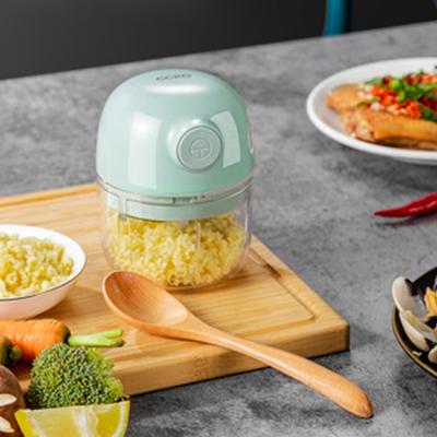 China Guangdong Confirmed 2 in 1 Garlic Crusher Multifunctional Garlic Crusher Vegetable Chopper Kitchen Tools Usb Pursuit Stainless Steel Garlic Press for sale