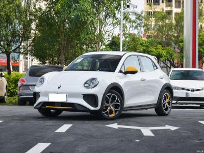 Chine Euler Good Cat GT Chinese EV Cars 401KM Niveau de conduite assistée L2 à vendre