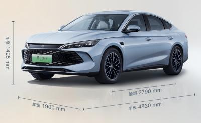 Cina 15.87 kWh Blade Battery Auto elettriche cinesi con capacità di ricarica rapida e tecnologia ibrida plug-in in vendita