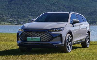 China 215km Electric Cruising Range Chinese Electric SUV with 21.504 kWh Blade Battery for sale