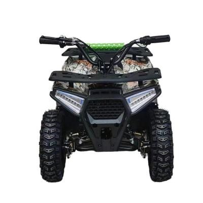 중국 Powerful 125cc Gasoline Adult ATV Quad Bike with 12V Voltage and Curb Weight of 100-200kg 판매용