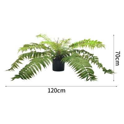 China 70cm künstlicher Fern Tree Indoor Decor Living Raum-immergrüne tropische Betriebskundenspezifische Höhe zu verkaufen