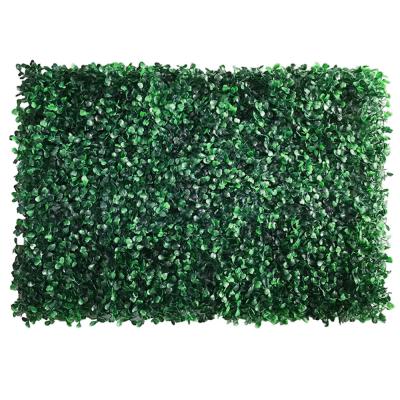 China Fogo artificial vertical verde da parede da planta - retardador nenhum costume do cheiro à venda