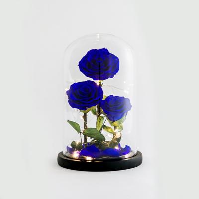 China Deluxe version of the firmament glass jar rose Wholesale Artificial Gift Logo Cardboard Eternal 9-10Cm Preserved Roses For Flower Box for sale