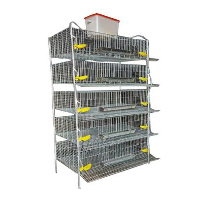 China Full Automatic Feeding Metal Quail Laying Cage Water Drinker for sale