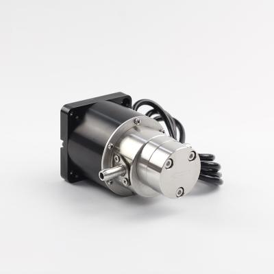 China FLOWDRIFT DC Electric Brushless Motor Magnetic Drive Hi-Pressure Stainless Steel Gear Pump KGP-06F for sale
