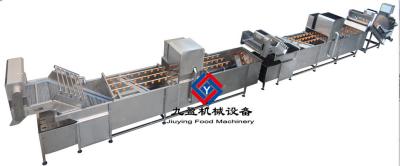 Chine Chaîne de fabrication de salade de champignons/équipement de lavage de légume et de fruit à vendre