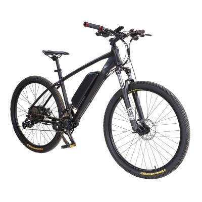 China Hot-selling New Design 21 Aluminum Alloy 2021 Speed Electric Bike 48V E Bike for sale
