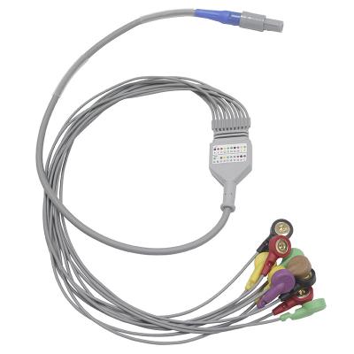 China Biomedical Instruments 10 leads Holter ECG Cable and Leadwires for sale