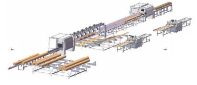 Κίνα Ripsaw 50cm η ξυλουργική πολυ σχίζει την ξύλινη σχίζοντας μηχανή μηχανών πριονιών προς πώληση