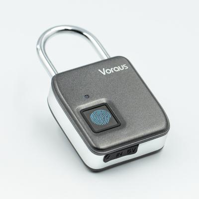 China Digital Fingerprint Handbag USB Charging Travel Backpack Zinc Alloy Waterproof Keyless Biometric Padlock for sale