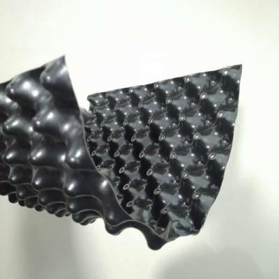 Китай 30 мм высоты двойной стороны с воронками HDPE дренажной ячейки для современного дизайна зеленой крыши продается