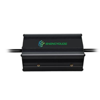 China Universal Mini Car Automatic Maintenance Free Lead Acid Battery 48V Charger for sale
