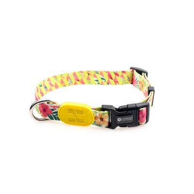 China los 2.5cm cuellos de 1 de la pulgada de la flor perro del poliéster y cuello suave del perrito de los arneses al aire libre en venta