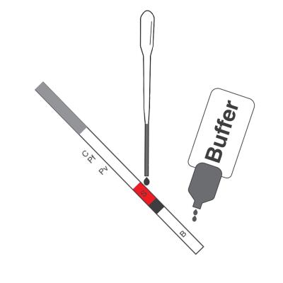 China Malaria P.F/ P.V Antigen Rapid Test Cassette (Colloidal Gold) CE Registered For Hospital Clinic Diagnose for sale