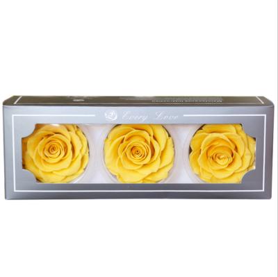 China Luxury Ecuador valentines gifts preserved black roses head stabilized eternal flower for wedding gift wall for sale