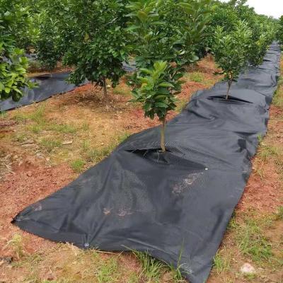 China Agricultural Garden Grass Proof (100~105g/ã¡) Hot Selling Cheap Custom Black Garden Grass Waterproofing Weed Cloth for sale
