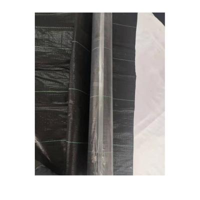 China Agricultural Garden Grass Proof (100~105g/¡) Sell Well New Type Agriulture pp Mat Garden Grass Proofing Cloth Pe Garden Weed Control for sale