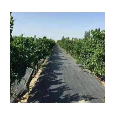 China Agricultural Garden Grass Proof (100~105g/¡) Agriulture Pe Garden Weed Control Carpet Cloth/Weed Waterproofing Cloth various plant sale pp/garden grass for sale