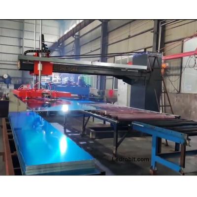 Cina Palletizzatore collaborativo a servomotore in vendita