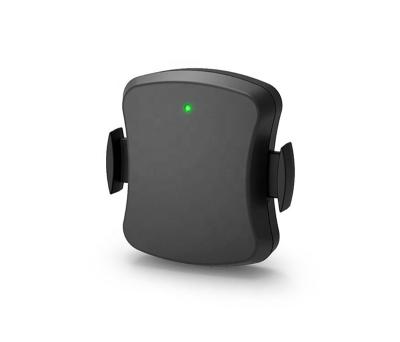 China Fitness Cileaf Sensor Cycling Bike Cycling ANT+ Wireless Speed Sensor With Waterproof Bicycle Bike Cadence for sale