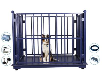 China 2M Livestock Weighing Scales , 5T Digital Livestock Scales for sale