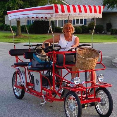 China Flat Earth Factory Family Bicycle Hot-selling Tandem Tour Used Adult Quadricycle 4 Wheel 4 Person Surrey Bike for sale