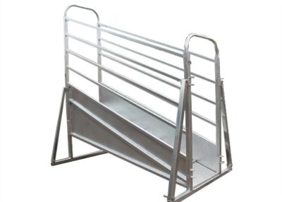 China Hot Dip Galvanized 4m Sheep Loading Ramp Plans Corrosion Resistance for sale