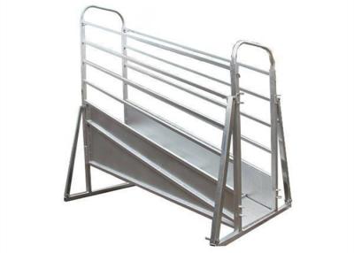 China Adjustable Mobile Cattle Ramp Overhead Bracing 3.6 / 4.8m Fixed Height for sale