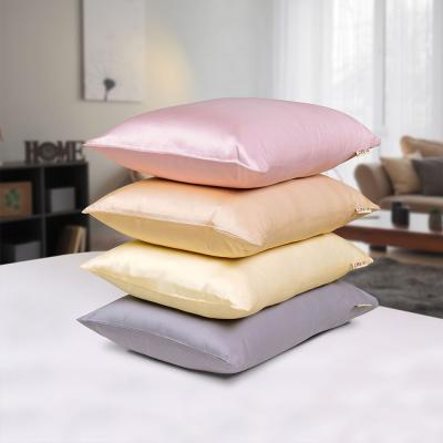 China Nondisposable Plain Dyed Color 100% Silk Pillow Case Tencel Luxury Pillow Case for sale