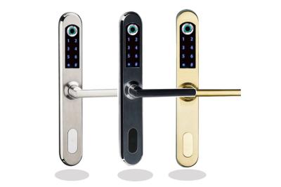 China Cerradura de cristal automática de la huella dactilar de la puerta, cerradura de puerta de desplazamiento de aluminio de la exploración del finger de la tarjeta del RFID en venta