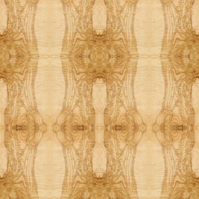 China Fantasia alongada Ash Burl Oliver Wood Veneer Book Match natural do tamanho que emenda para o ISO da decoração do hotel à venda