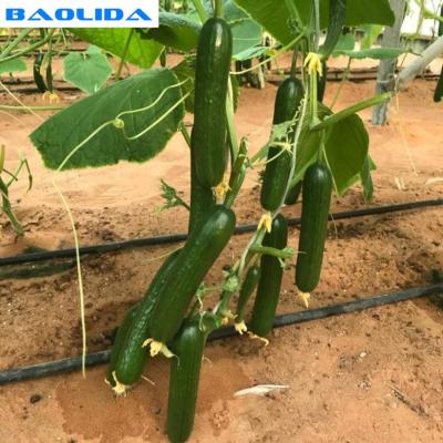 China Agricultural Drip Irrigation Pipe Tape Systems For Farm High Efficient for sale