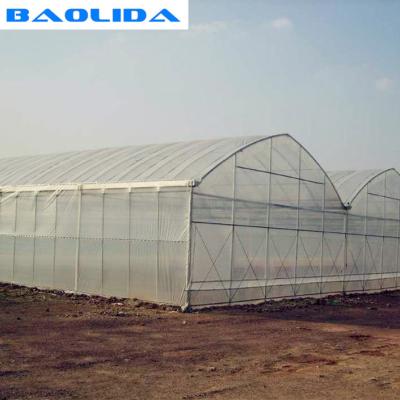 China Invernadero multi doble del palmo del arco los 4.5m del marco de acero de la alta película doble grande del túnel en venta