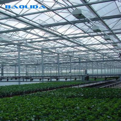 China Estufa de vidro de Venlo do multi período da agricultura para a plantação do tomate à venda