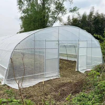 Chine Fraise élevant la serre chaude simple d'envergure de ventilation latérale pour l'agriculture à vendre