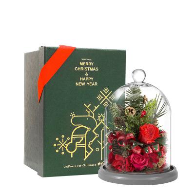 China Christmas Christmas Present Christmas tree design Preserved Flower Christmas decoration Home decoration party for sale