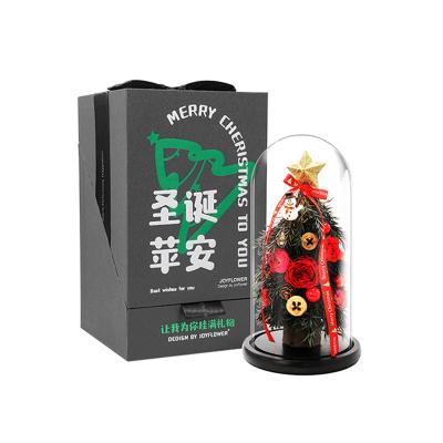 China Christmas Christmas Present Christmas tree design Preserved Flower Christmas decoration Home decoration party for sale