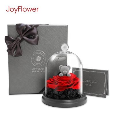 China Wedding Wedding gifts natural preserved eternal rose flowers bear in glass dome Christmas Present valentine Preserved Flower for sale