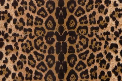 China 100% polyester and velboa fabricWidth: 60 inchesUsed for toy, shoes and bagsWeight: 200 to 300gsm for sale