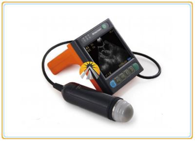 China Digital Veterinary Ultrasound Scan Machine For Equine / Bovine 625G Weight for sale