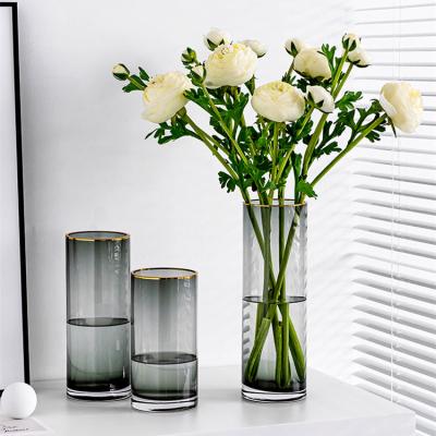 China Gold Vase Living Room Minimalist Simple Gray Drawing Straight Glass Decoration Hanging Dry Vase Glass Vase For Flowers for sale