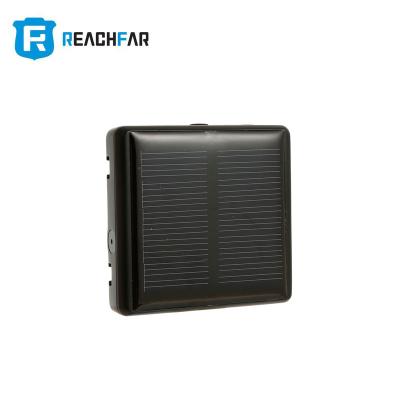 China High Quality Cheap Outdoor Micro Horse HANDHELD GPS Cattle Sheep Animal Tracking Device For Long Life Waterproof Mini Solar Cow GPS Track for sale