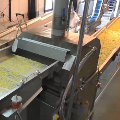 China Factory Pellets Snacks Short Time Frying Knob Frying Machine for sale