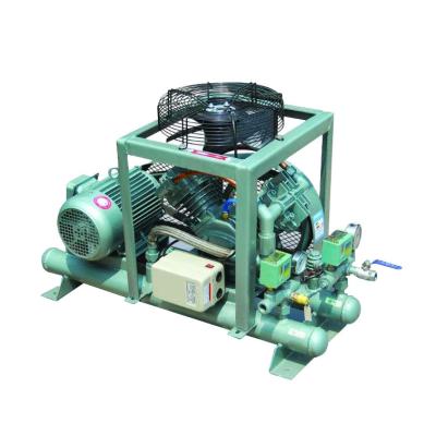 China Oil-free N2/O2 gas compressor to produce oxygen or nitrogen for sale
