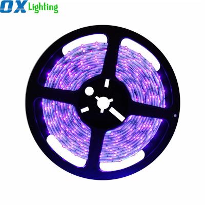 China Residential UV-C Led Strip Germicidal Strip Light 420nm UV Led Strip Light for sale