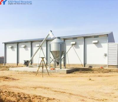 China Broiler Chicken Shed Steel Structure Prefab Steel Hen House Onsite Installation for sale