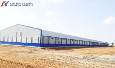China Easy Clean Steel Poultry House Layer Hen House Steel Structure Chicken Broiler Shed for sale