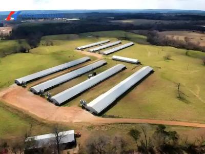 China Steel Structure Plant Warehouse Poultry House Commercial Building Steel Structure for sale