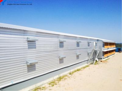 China Customized Automatic Chicken House Steel Structure Poultry Farming House for sale
